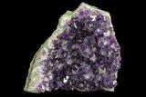 Purple Amethyst Cluster - Uruguay #66722-3